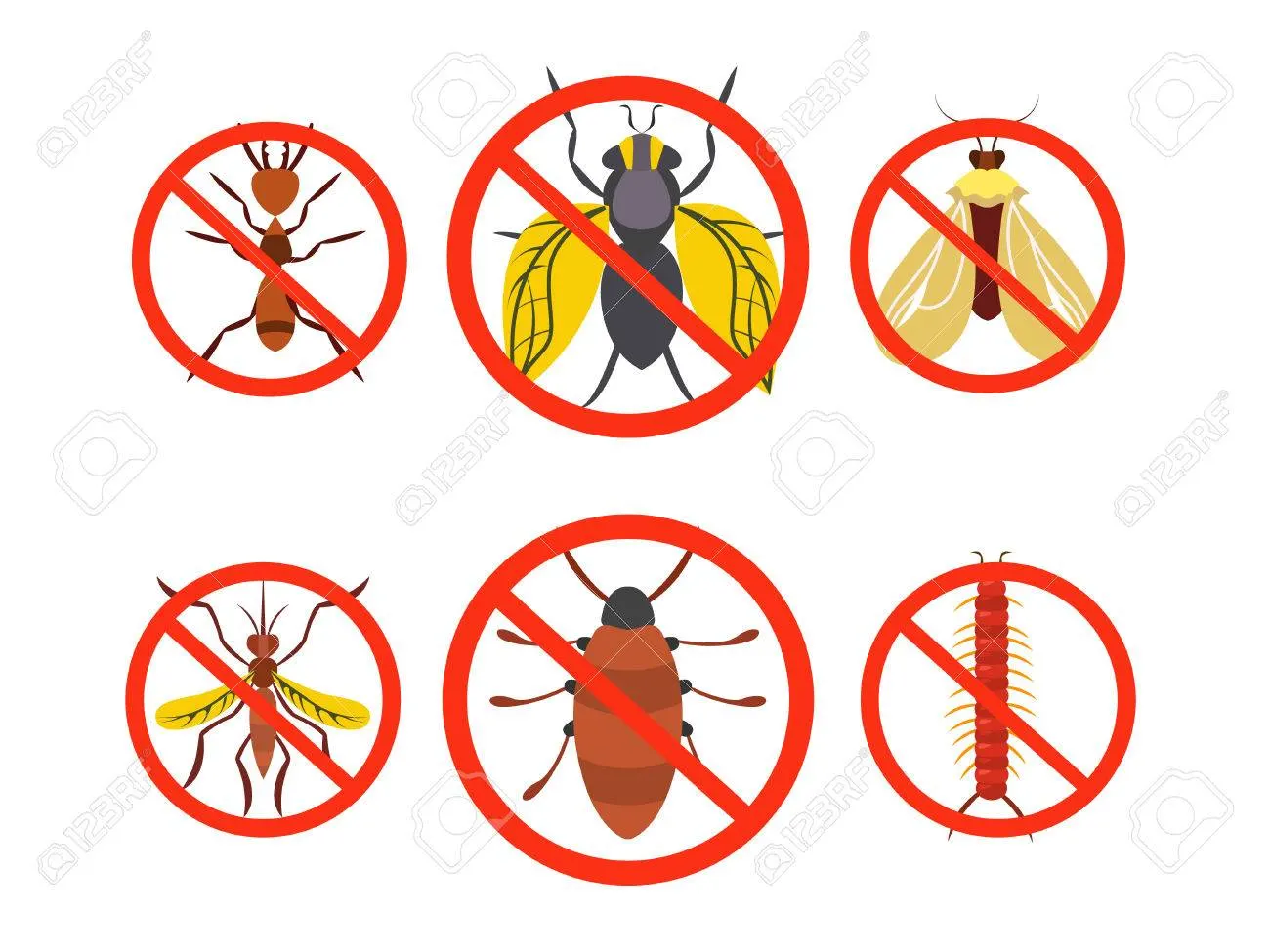 Category